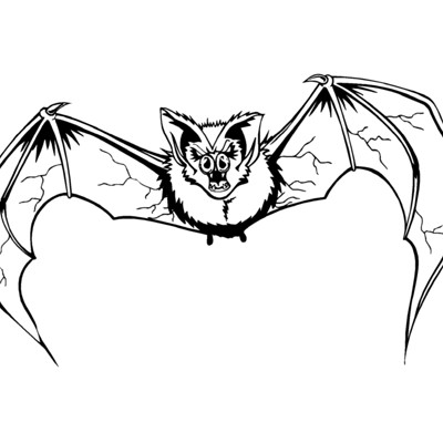 Bat